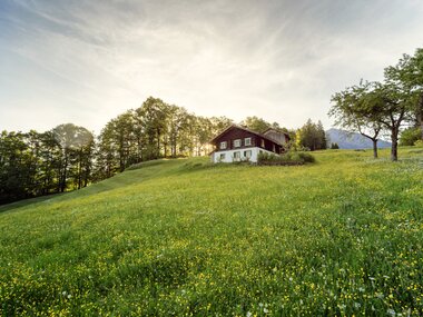 © Andreas Haller / Montafon