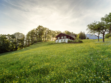 © Andreas Haller / Montafon