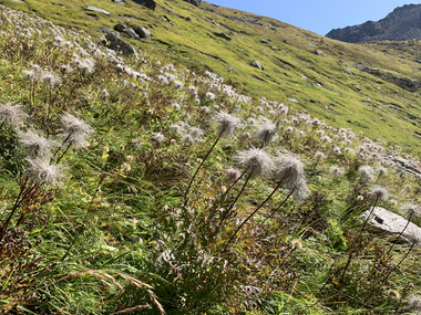 © Roland Fritsch / Montafon