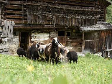 © Patrick Säly / Montafon