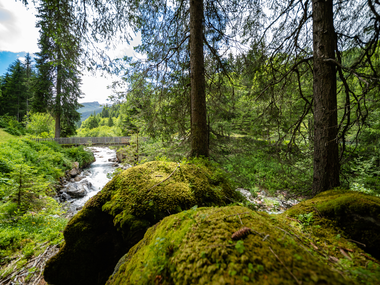 © Stefan Kothner / Montafon