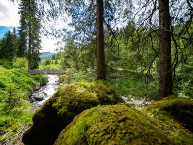 © Stefan Kothner / Montafon