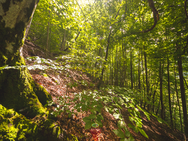 © Stefan Kothner / Montafon