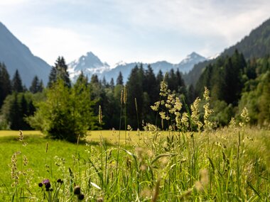 © Stefan Kothner / Montafon