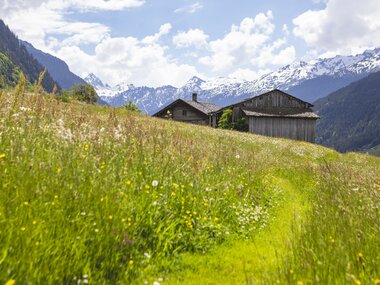 © Stefan Kothner / Montafon