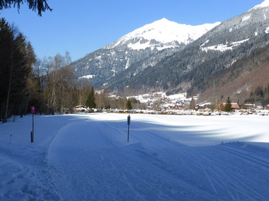 © Christina Wachter