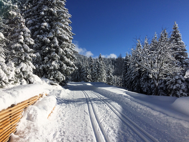 © Christina Wachter / Montafon