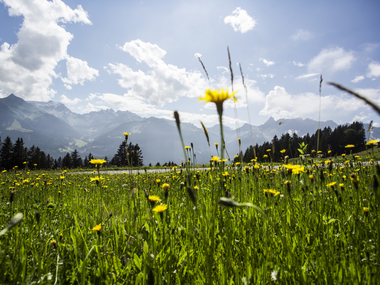 © Elisa Schöllhorn