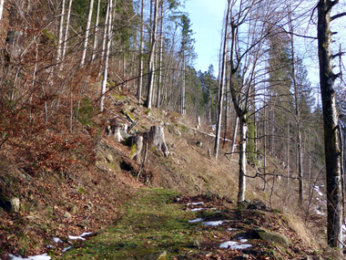 © Christina Wachter / Montafon