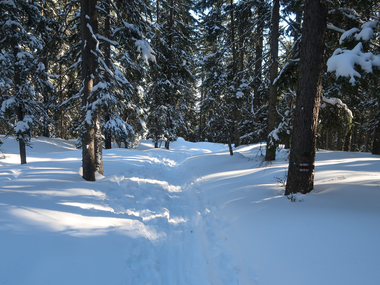 © Christoph Wald / Montafon