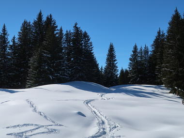 © Christoph Wald / Montafon