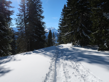 © Christoph Wald / Montafon