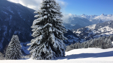 © Christina Wachter / Montafon