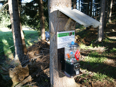 © Julia Sandrell / Montafon