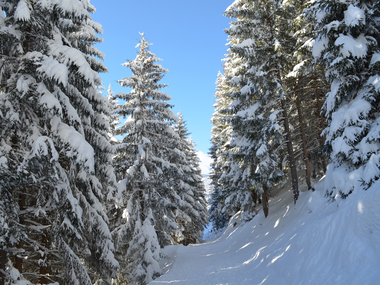 © Christina Wachter / Montafon