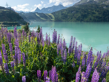 © Lucas Tiefenthaler / Vorarlberg Tourismus