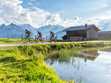 © Andreas Meyer / WOM-Medien