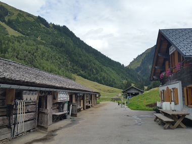 © Elisa Schöllhorn