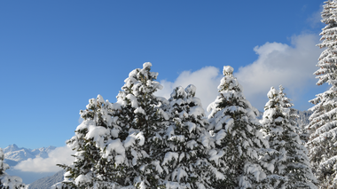 © Christina Wachter / Montafon