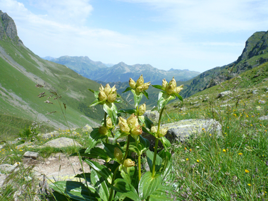 © Christina Wachter