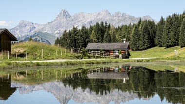© Daniel Zangerl
