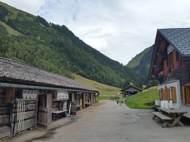 © Elisa Schöllhorn