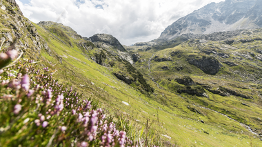 © Christina Wachter