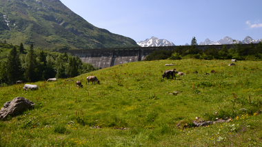 © Markus Fessler-Jenny / Illwerke Tourismus