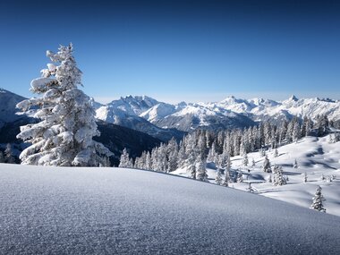 © Andreas Haller / Montafon