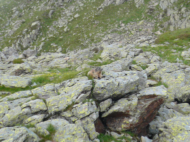 © Christina Wachter