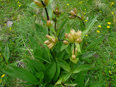 © Christina Wachter