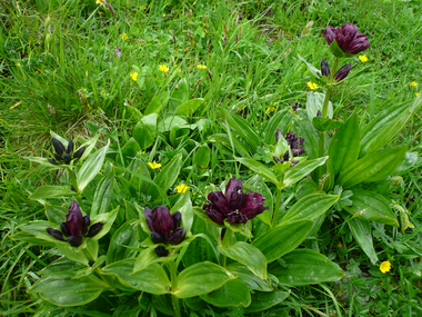 © Christina Wachter