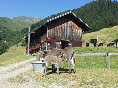 © Montafon Tourismus_(c)_Roland Fritsch