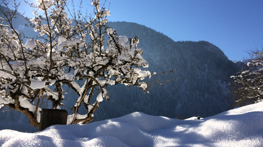 © Christina Wachter / Montafon