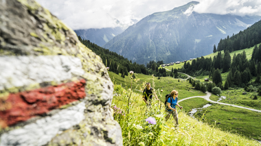 © Elisa Schöllhorn