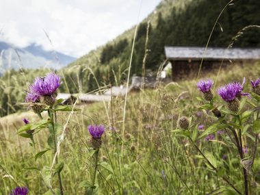 © Andreas Haller / Montafon