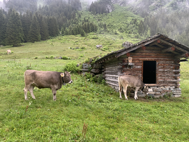 © Roland Fritsch / Montafon